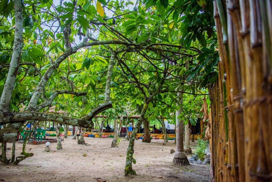 Villa Verde Restaurant